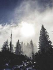 The Realm of the Dao