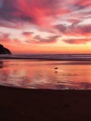 lt;Natural Disasters