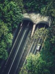 The Ugly Womanapos;s