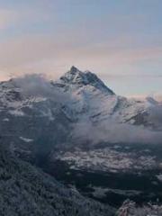 The Poisonous Doctor