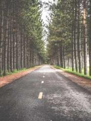 Love and him lt;lt;l