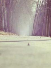 lt;lt;The Trash Husb