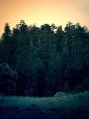 Transmigration: Feel