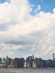 The Realm of the Dao