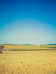 Shocking! This prota