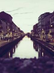 Reborn in the Apocal