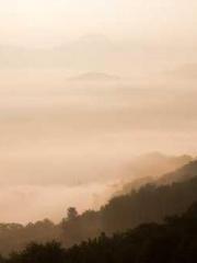 My rewards double au