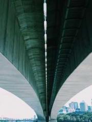 Transmigrated to the