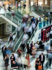 I have seven fairy g