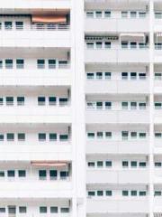 Wang Xuan Mu Qingyue