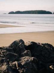 The Generalapos;s Hu