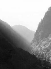 The Best Little Body