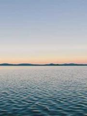 Two Treasures Arrive