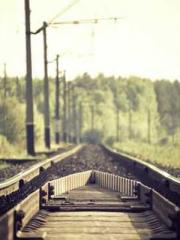 My Sweet Wife: The C