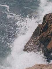 The Rough Man Hunter