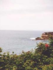 The Stand-in Wife Wa