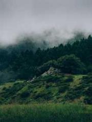 Become a big shot in