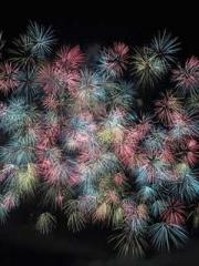 lt;lt;lt;lt;Yearning