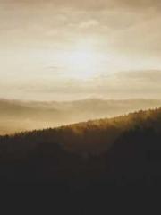 Falling for You: The