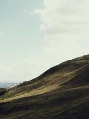 Jiang Mingzhu Zhou L