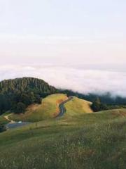 A Second Marriage Mo