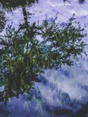 Reborn in 1989: Crea