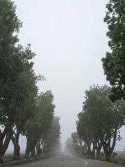 My Amazing Female Te