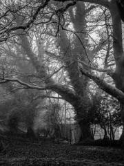 lt;lt;lt;Reborn Soar