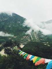 Super husband Lin Xi