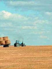 The Sovereign of the