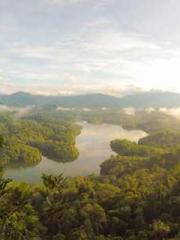 The Imperial Uncleap