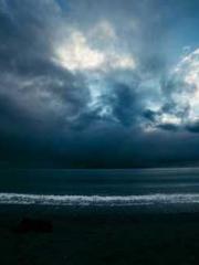 Double Blessing: CEO