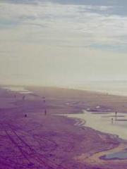 A Lifetime of Captiv