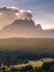 lt;Gingerly, Shen Qi